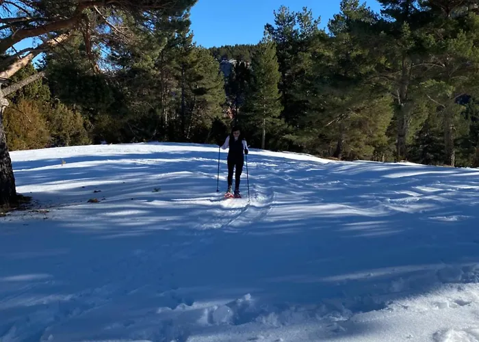 Cal Carol Διαμέρισμα Vallcebre