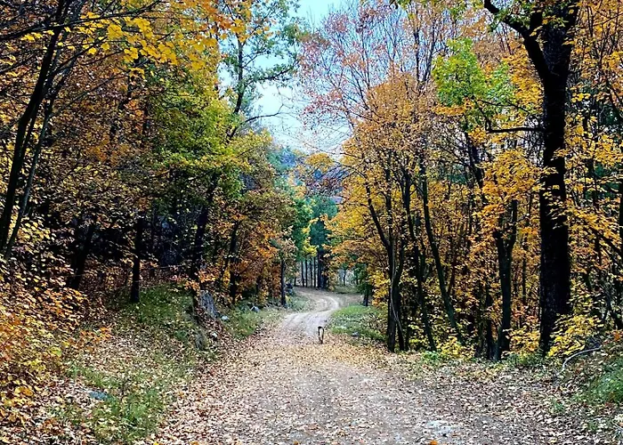 דירה Cal Carol Vallcebre